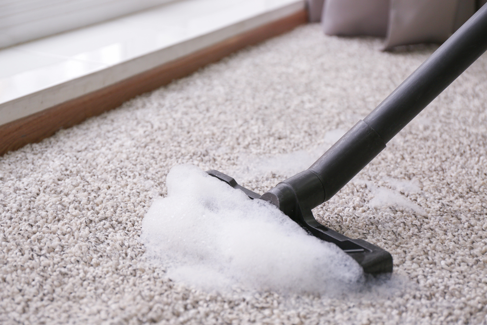 Eco-friendly carpet protection in Astoria - safe stain prevention treatment